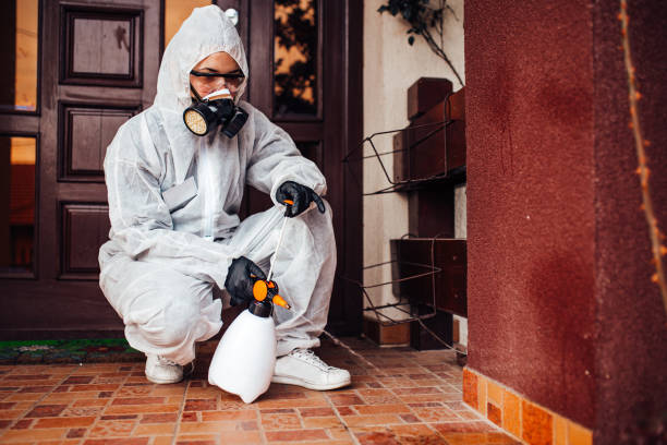 Reliable Ant Control contractor in Lafayette, LA by Show Me Pest Control